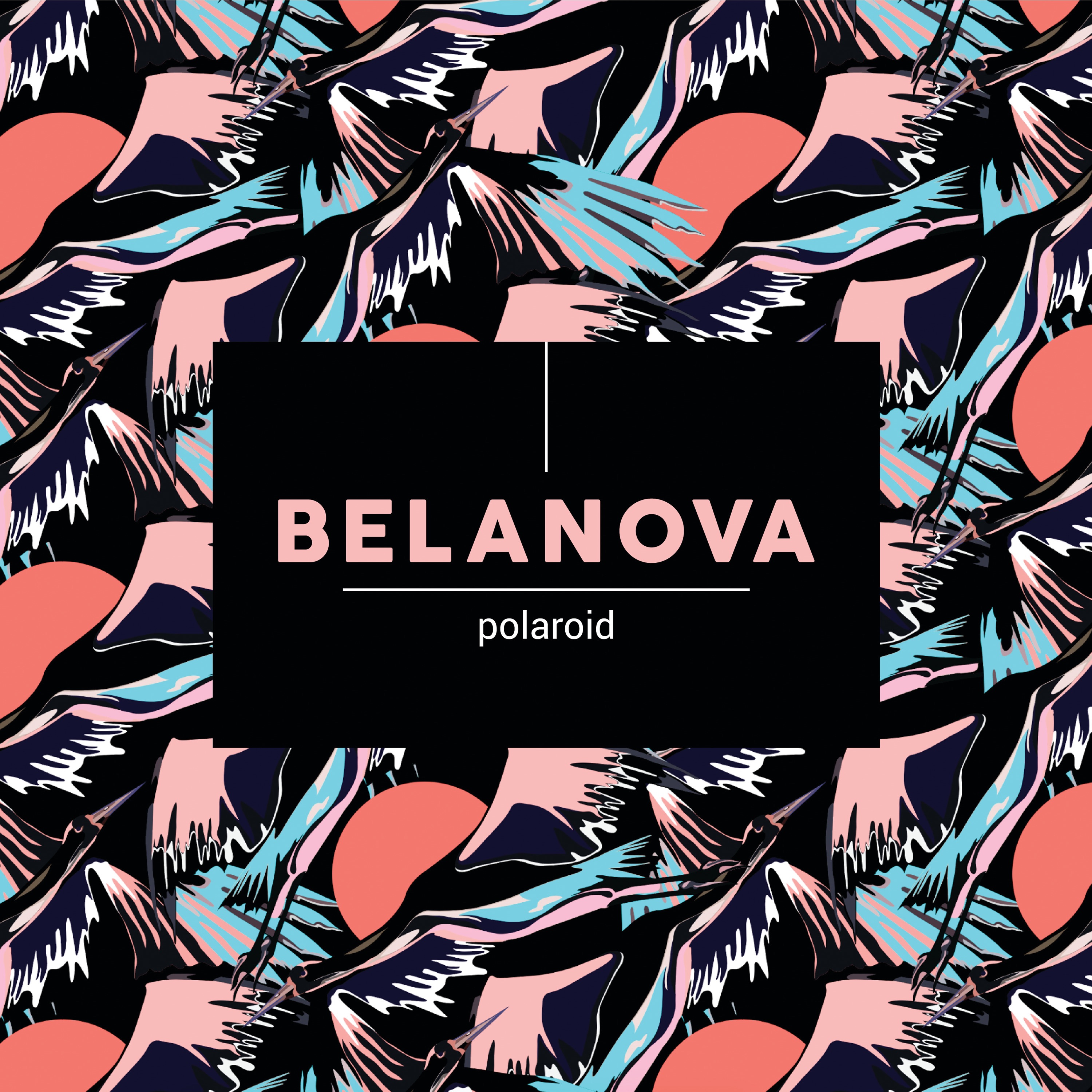 Polaroid - Single album cover