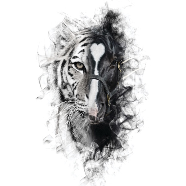 Para Sacarte De Mi Vida (feat. Los Tigres del Norte) - Single album cover