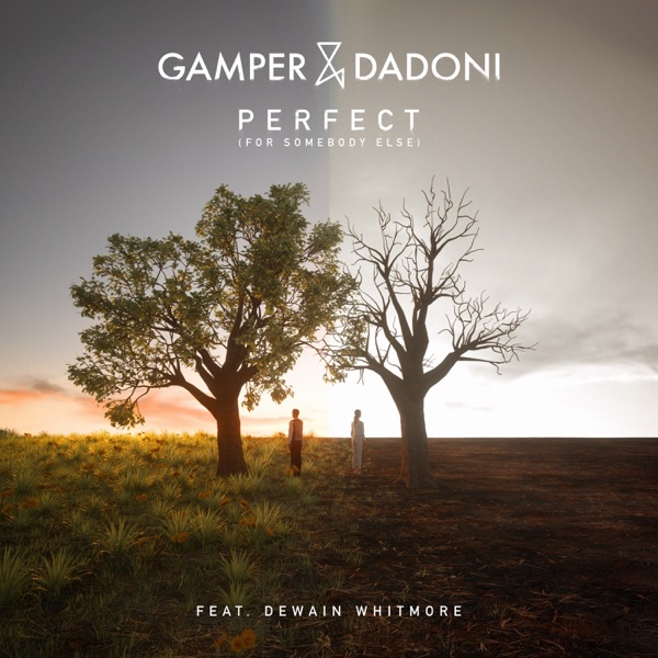 Perfect (For Somebody Else) [feat. Dewain Whitmore] - Single album cover