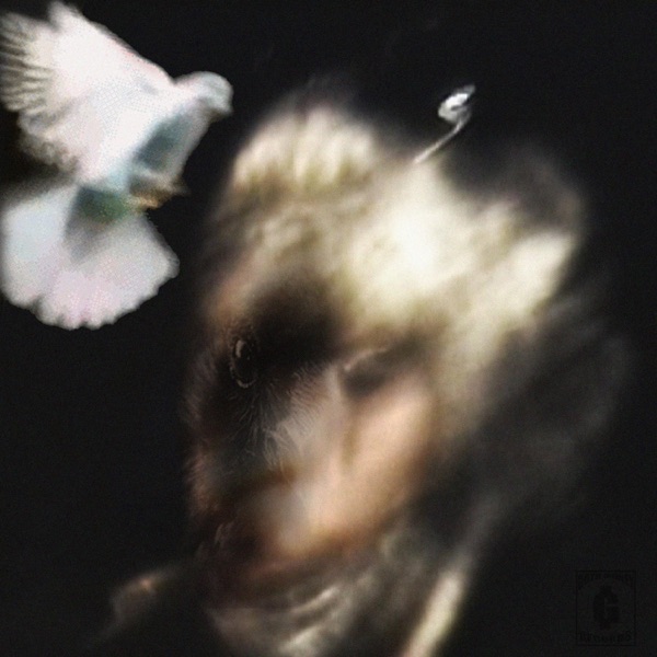 City of Crows album cover