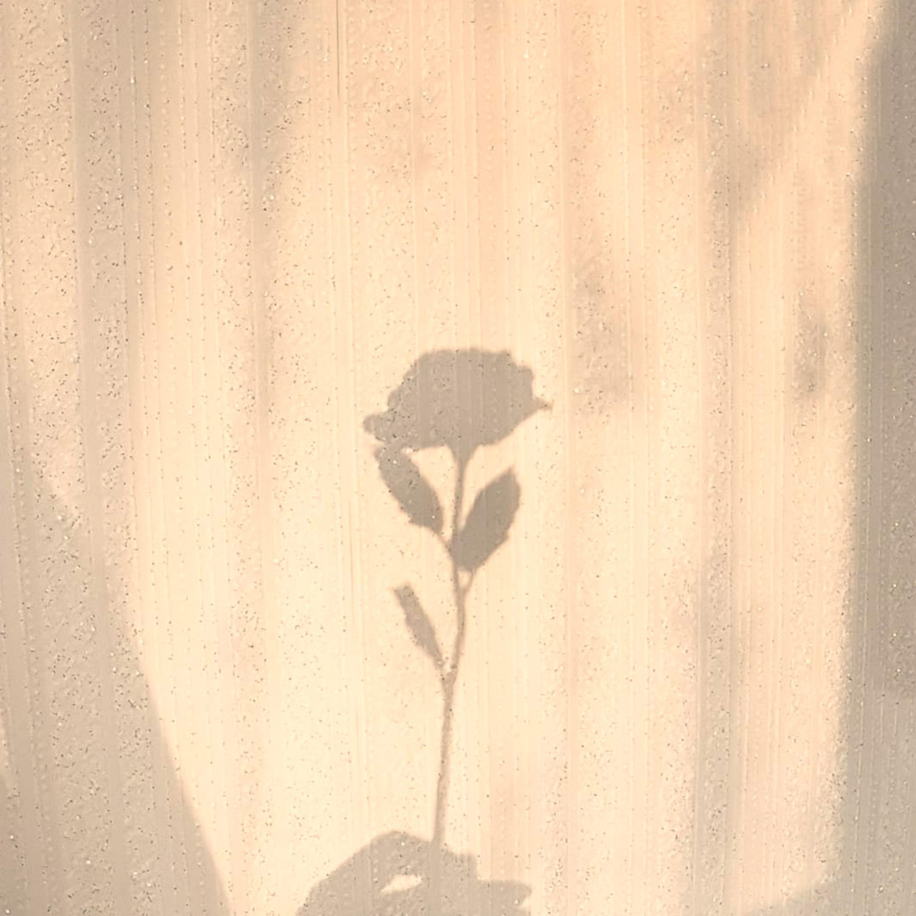 Love Wounds 2 album cover