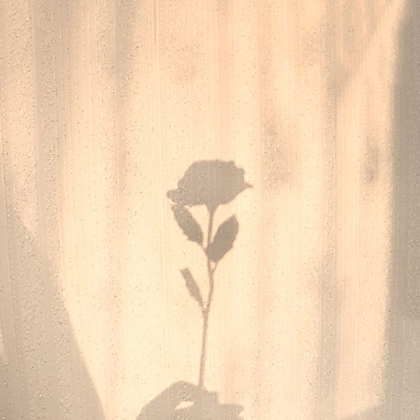 Love Wounds 2 album cover