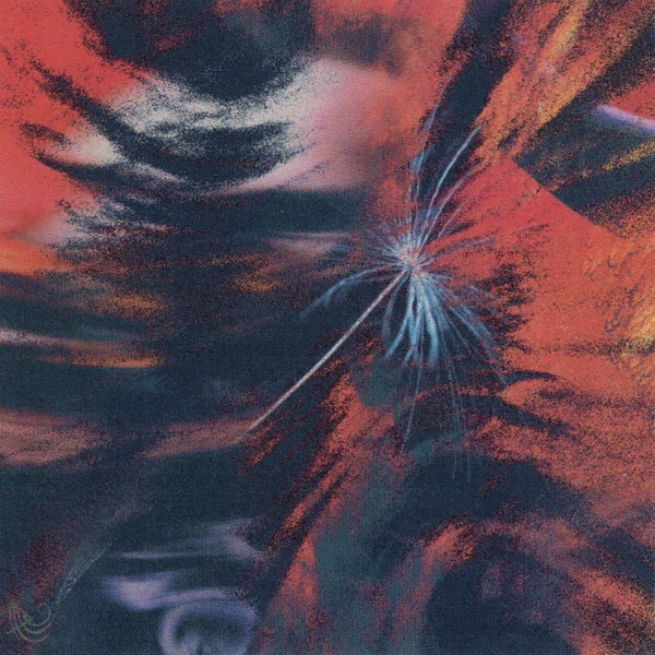 NON MI RICONOSCO - Single album cover