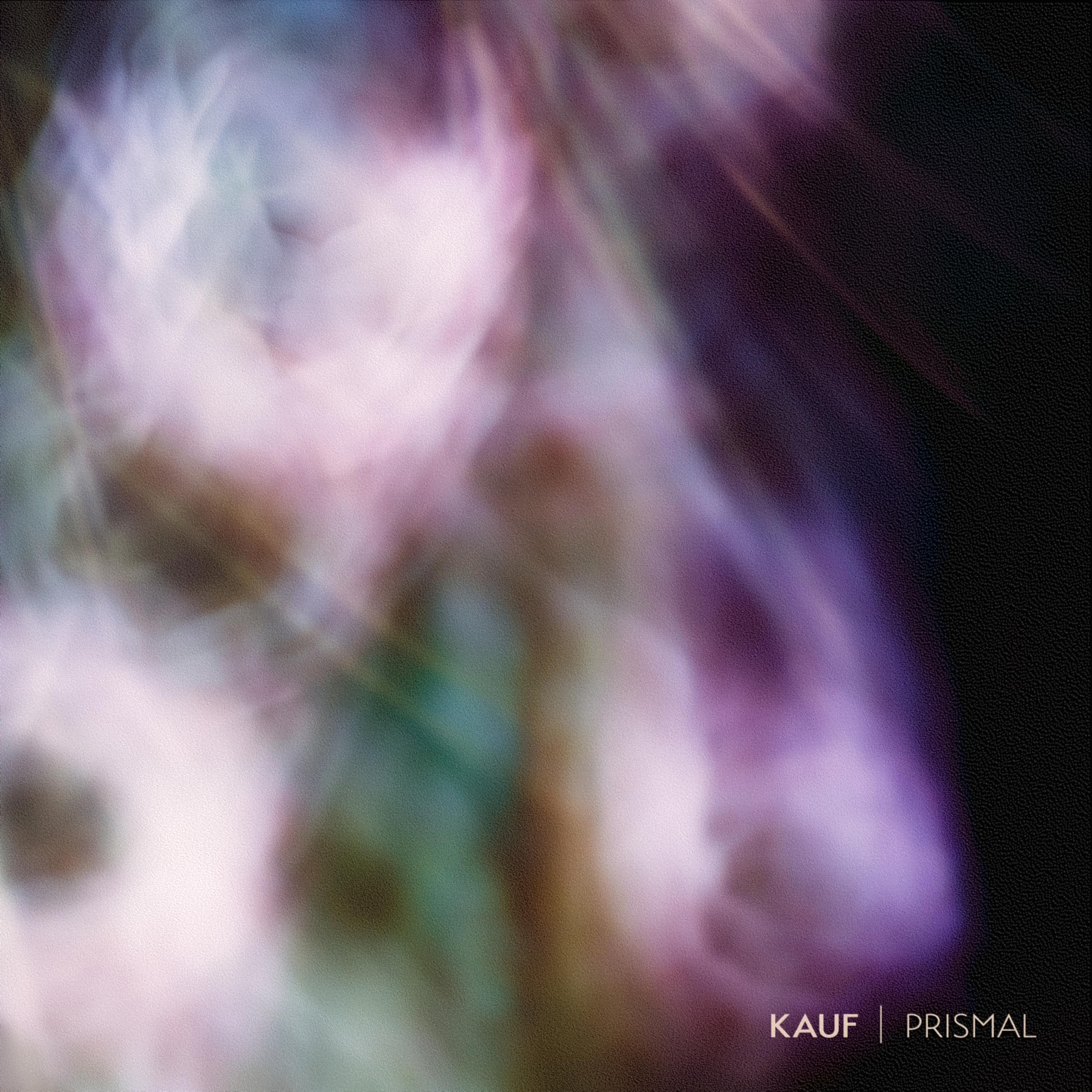 Prismal - Single album cover