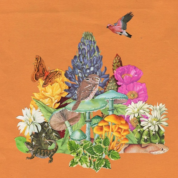 Escape to the Cloud Forest - Single album cover