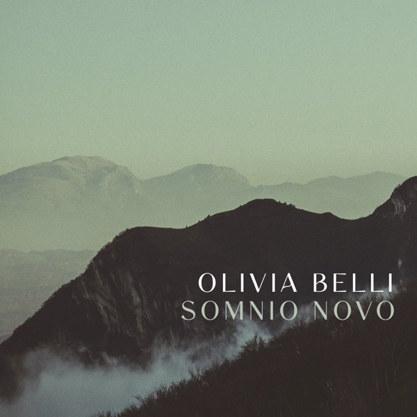 Somnio Novo album cover