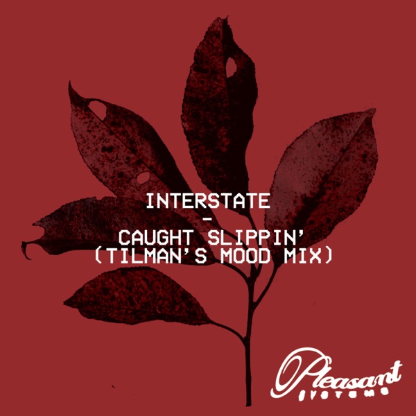 Caught Slippin' (Tilman's Mood Mix) - Single album cover