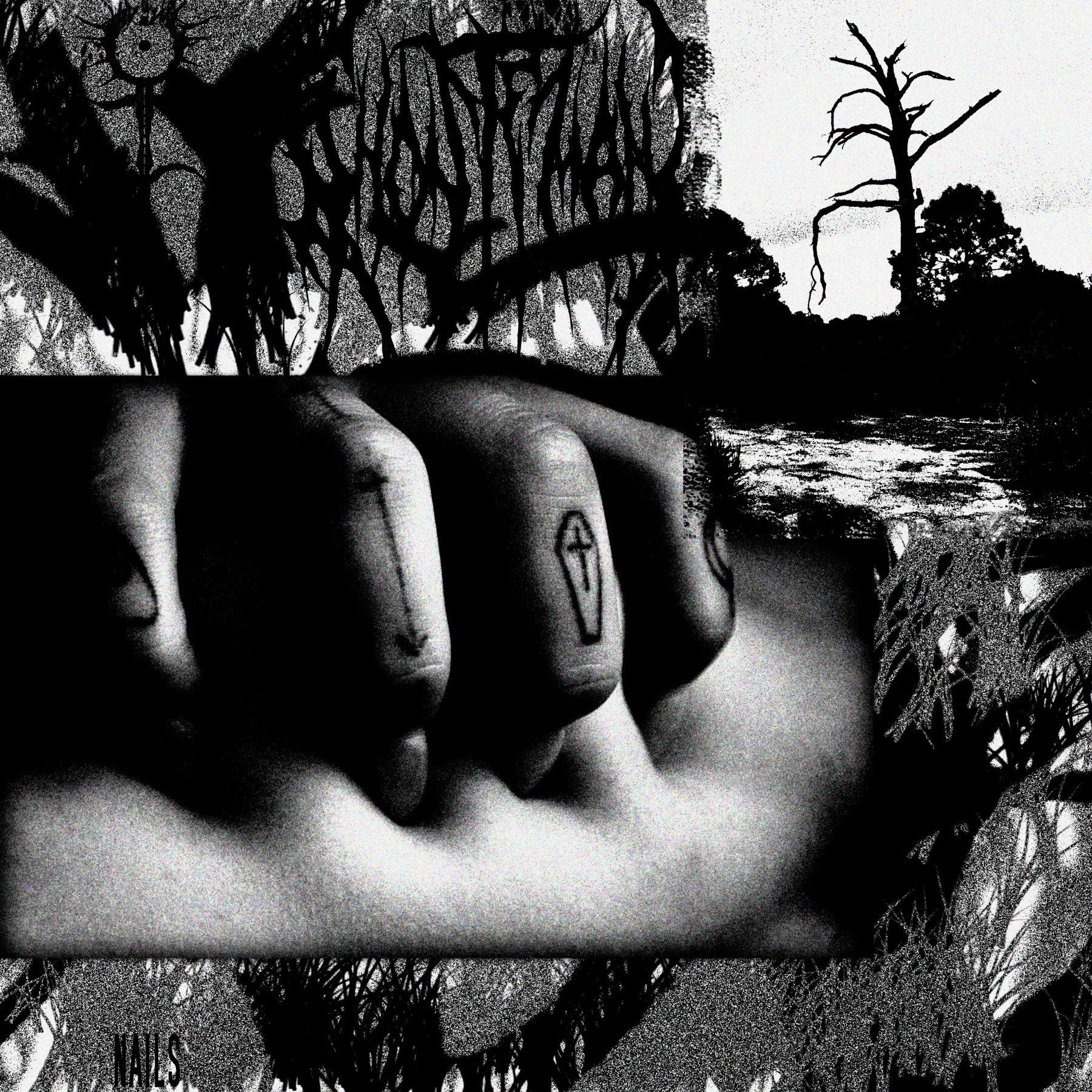 Nails - Single album cover