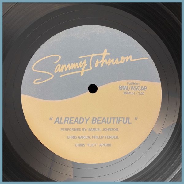 Already Beautiful - Single album cover