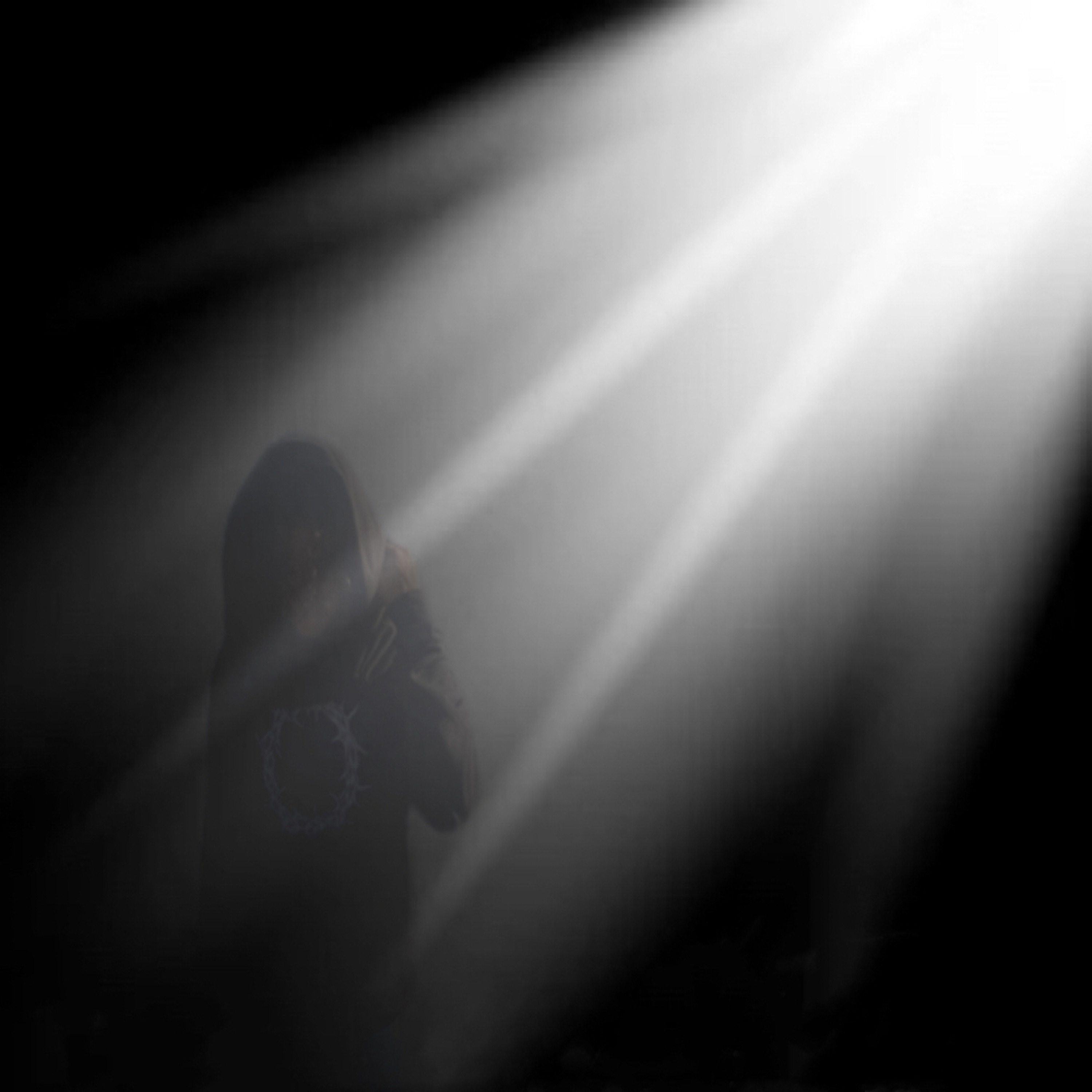 The Light - Single album cover