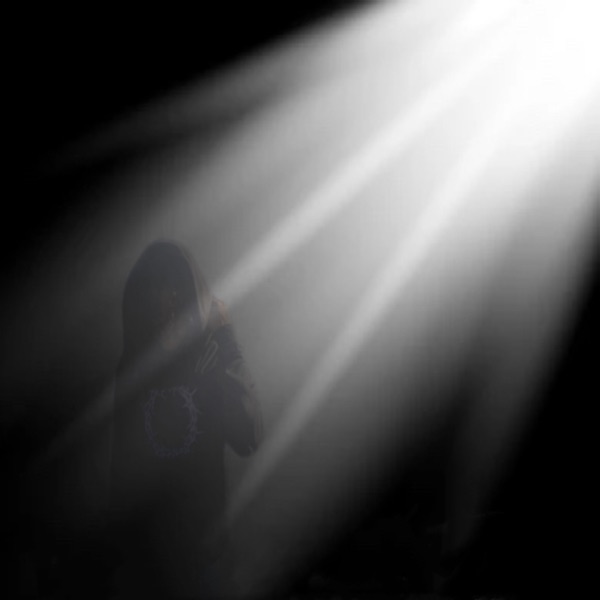 The Light - Single album cover