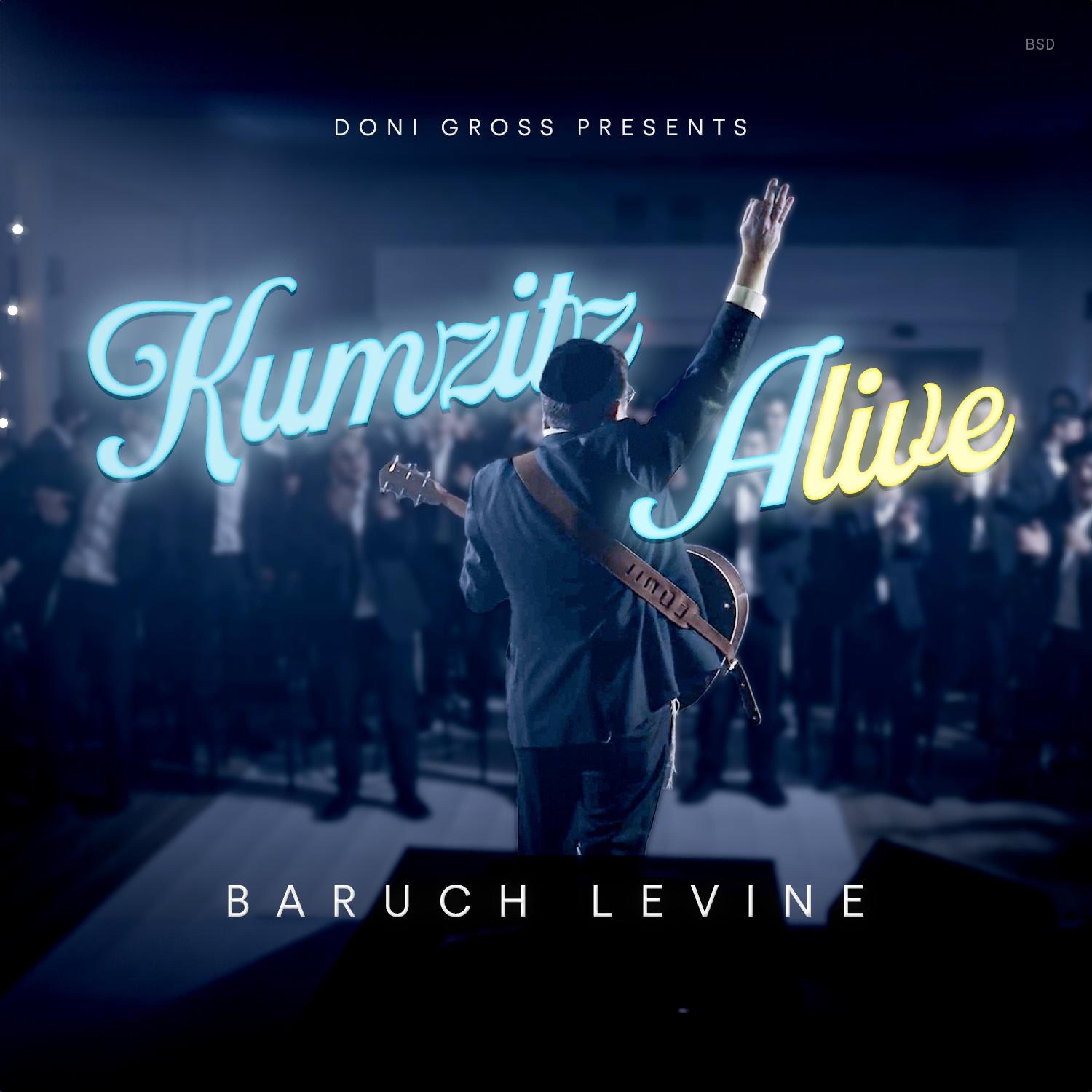 Kumzitz Alive album cover