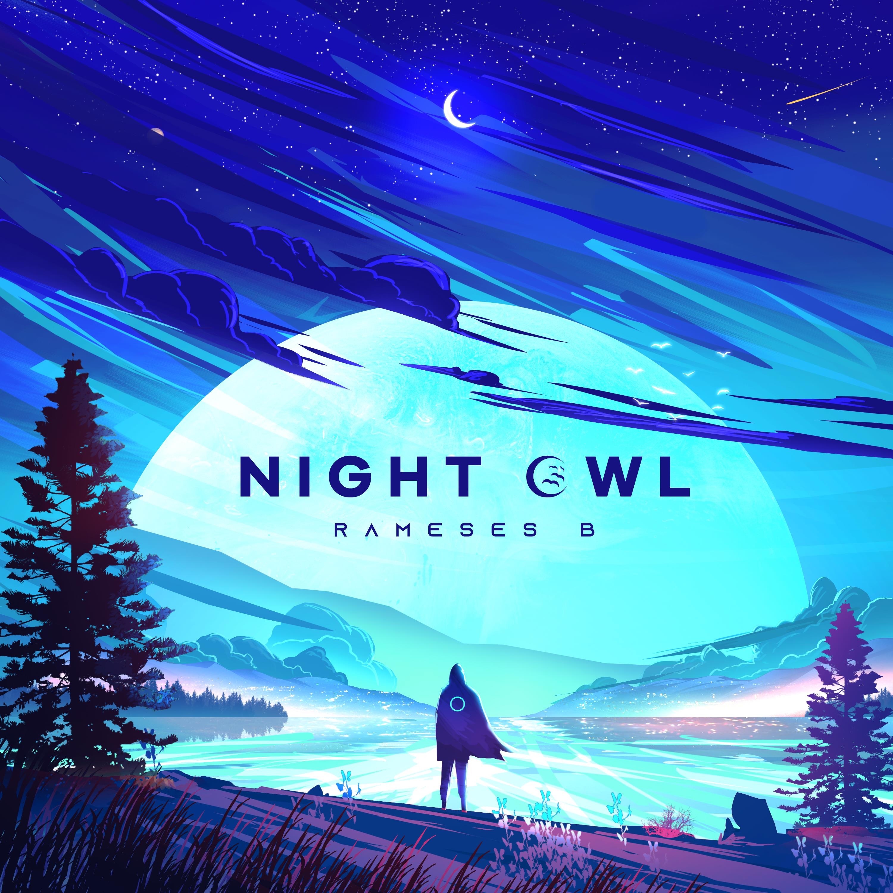 Night Owl album cover