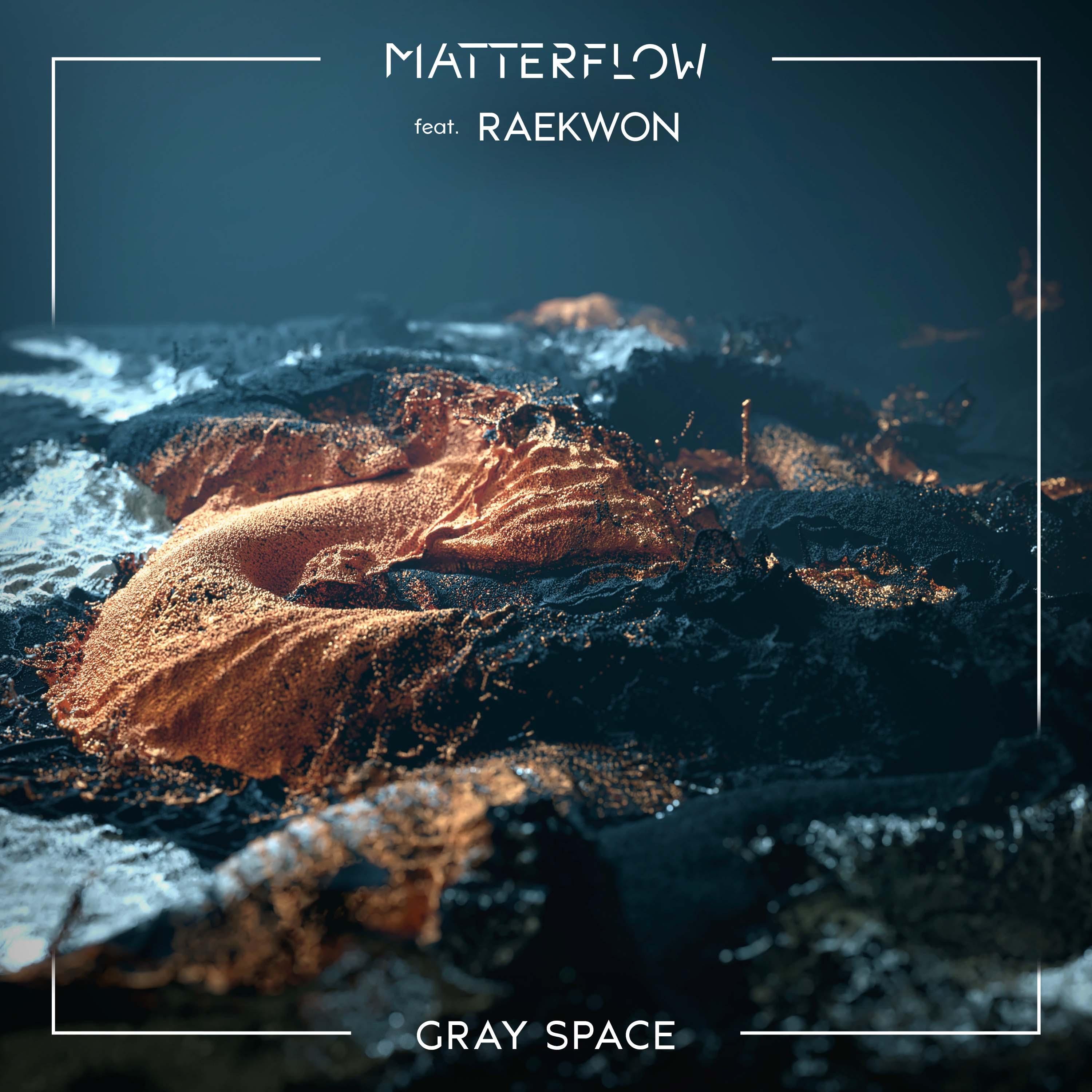 Gray Space (feat. Raekwon) - Single album cover