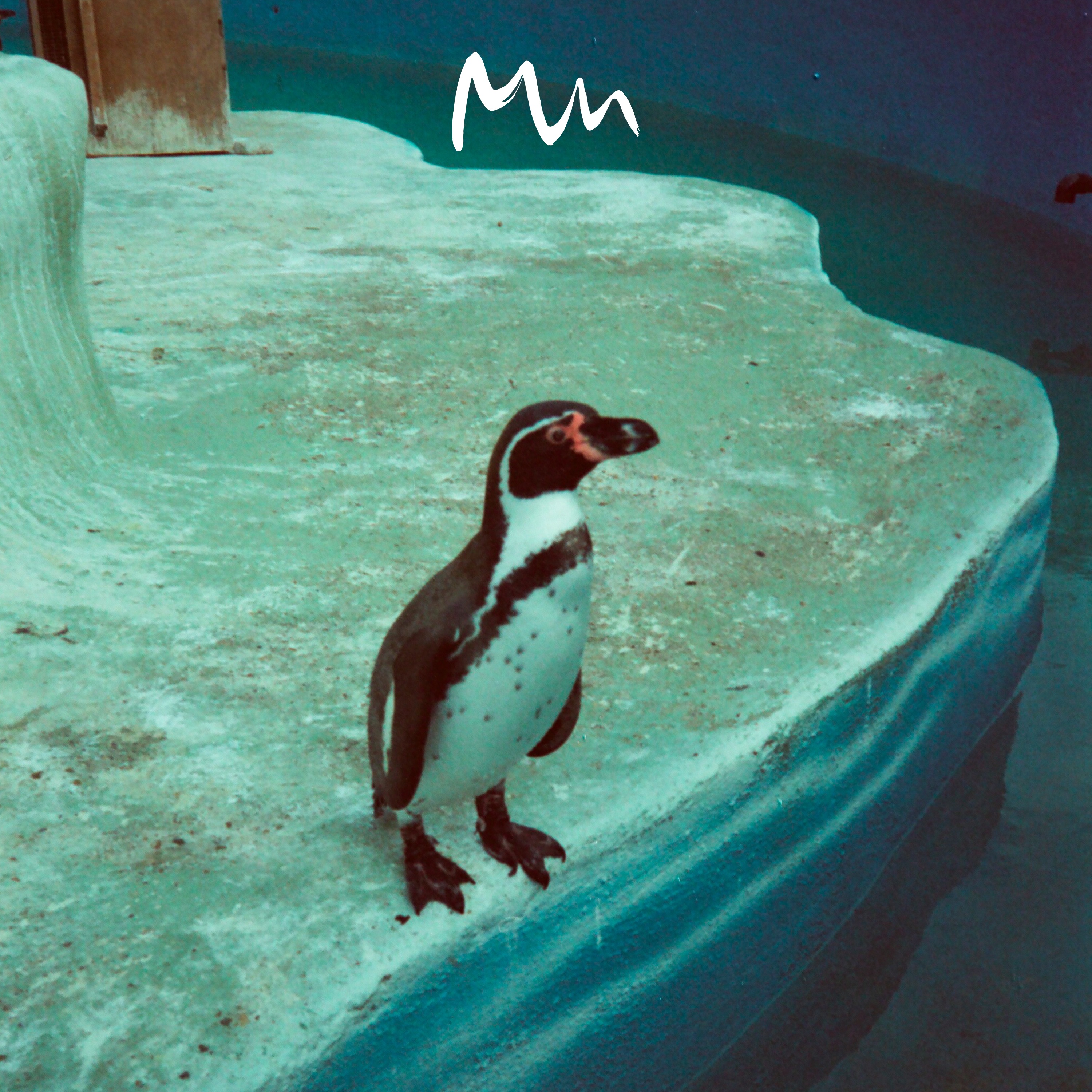 Arms - Single album cover