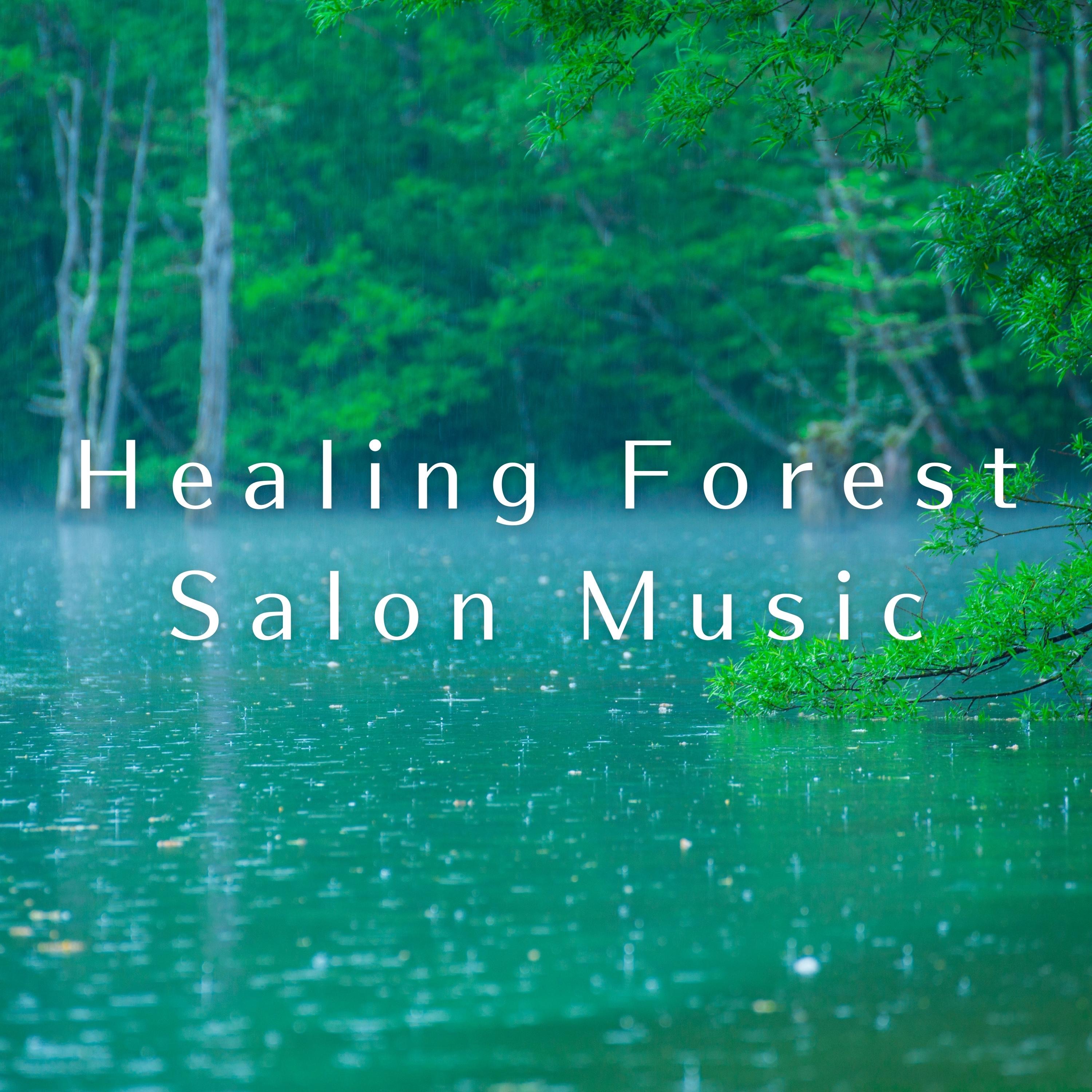 Healing Forest Salon Music album cover