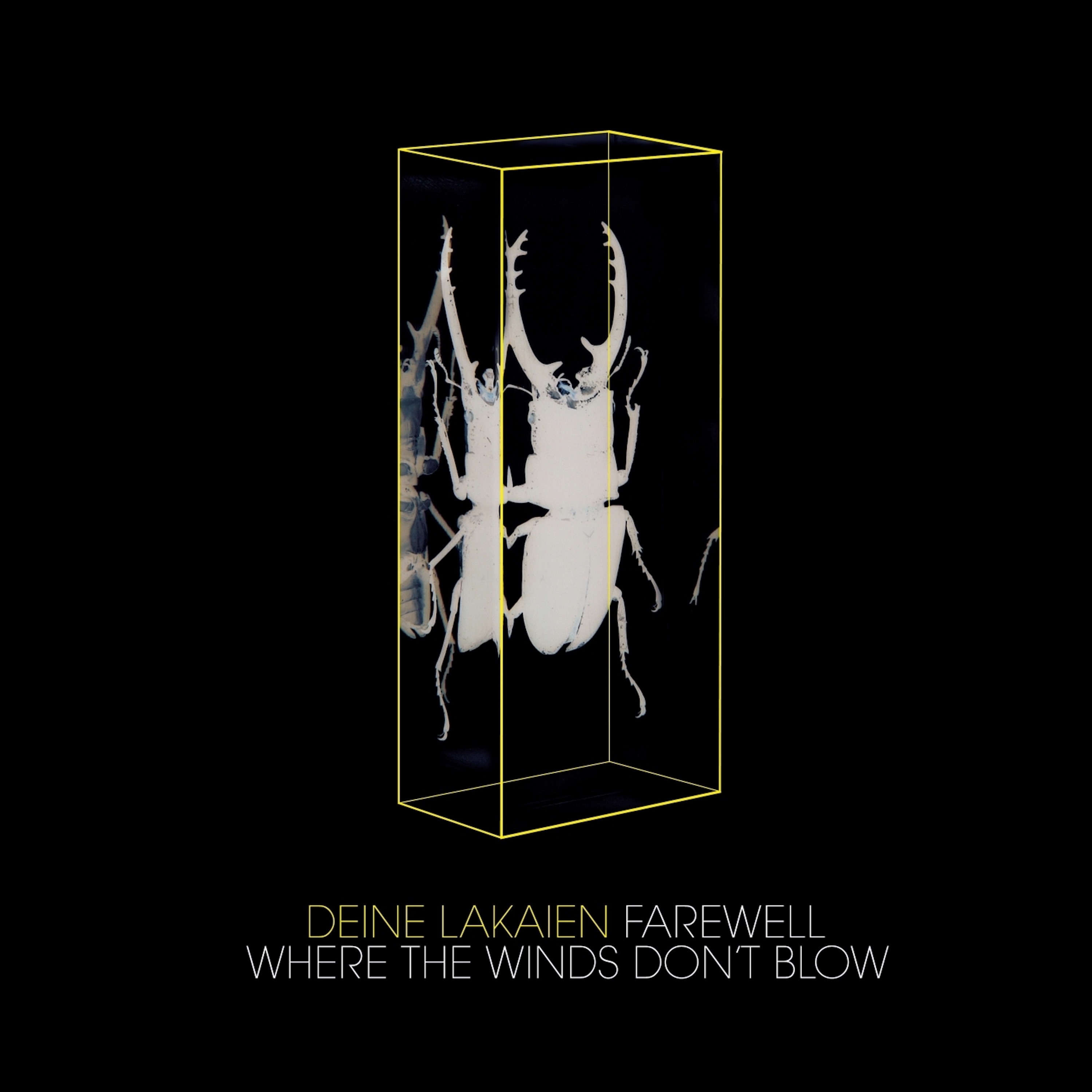 Farewell / Where the Winds Don't Blow - EP album cover