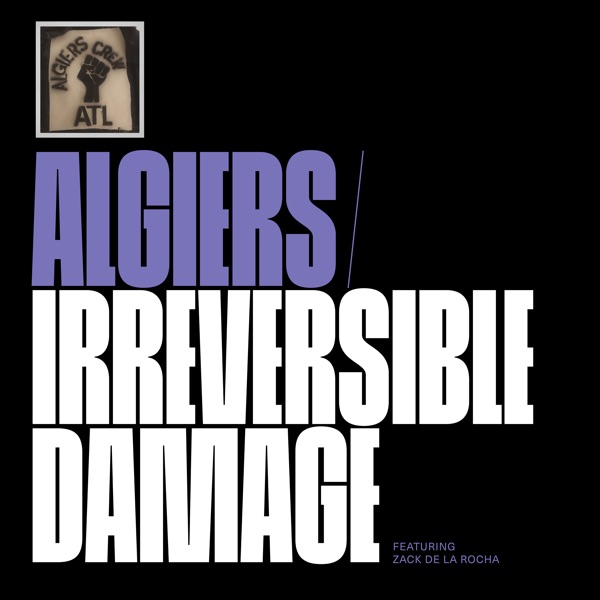 Irreversible Damage (Lil Obeah & Petru Birladeanu Transylvanian Dub) [feat. Zack de la Rocha] - Sing album cover