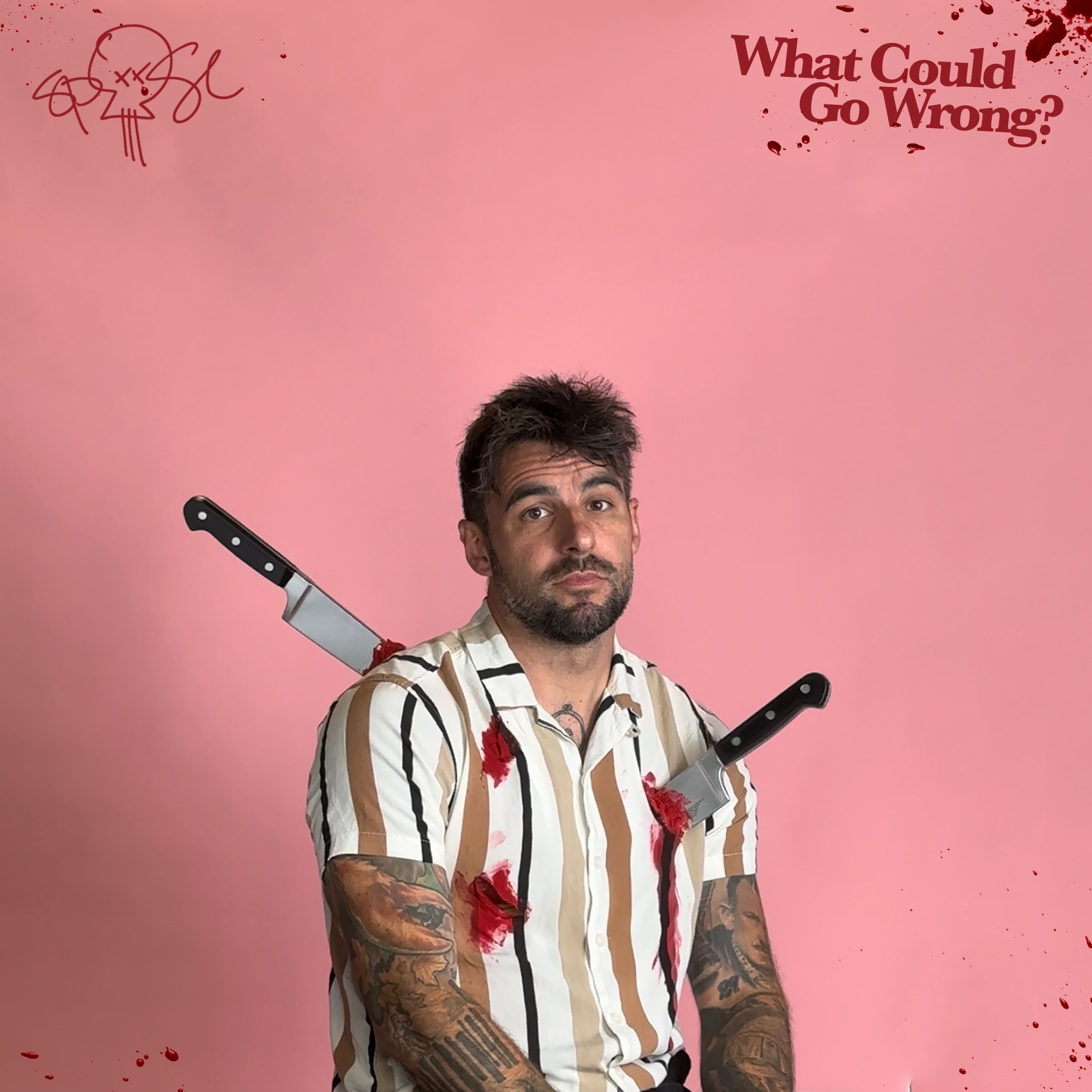 What Could Go Wrong? album cover