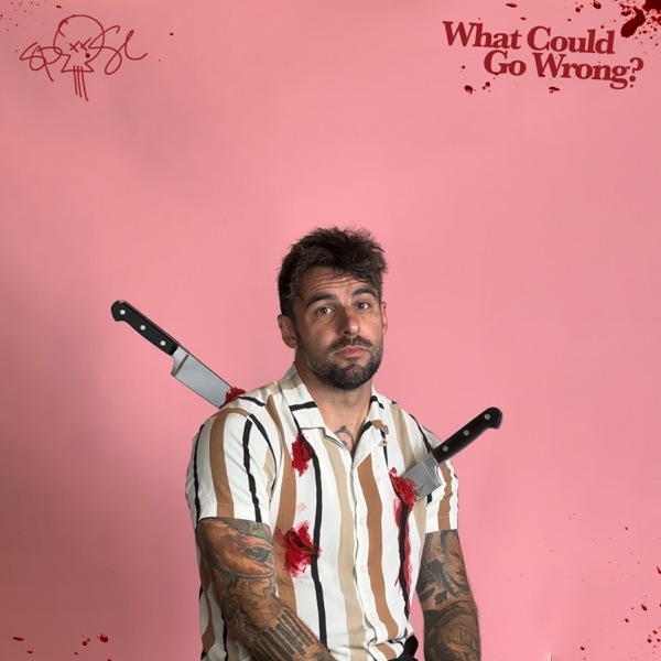 What Could Go Wrong? album cover