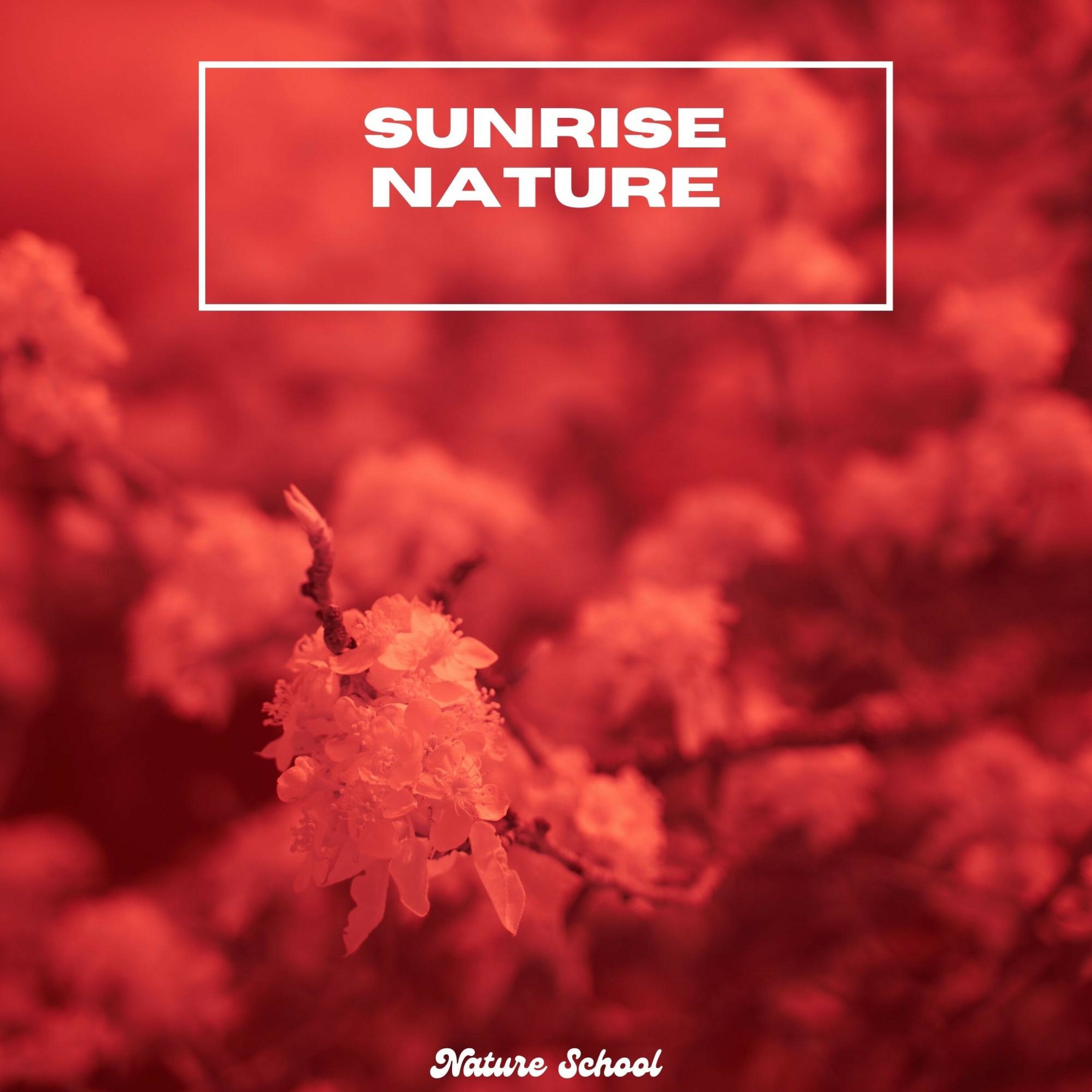 Sunrise Nature album cover