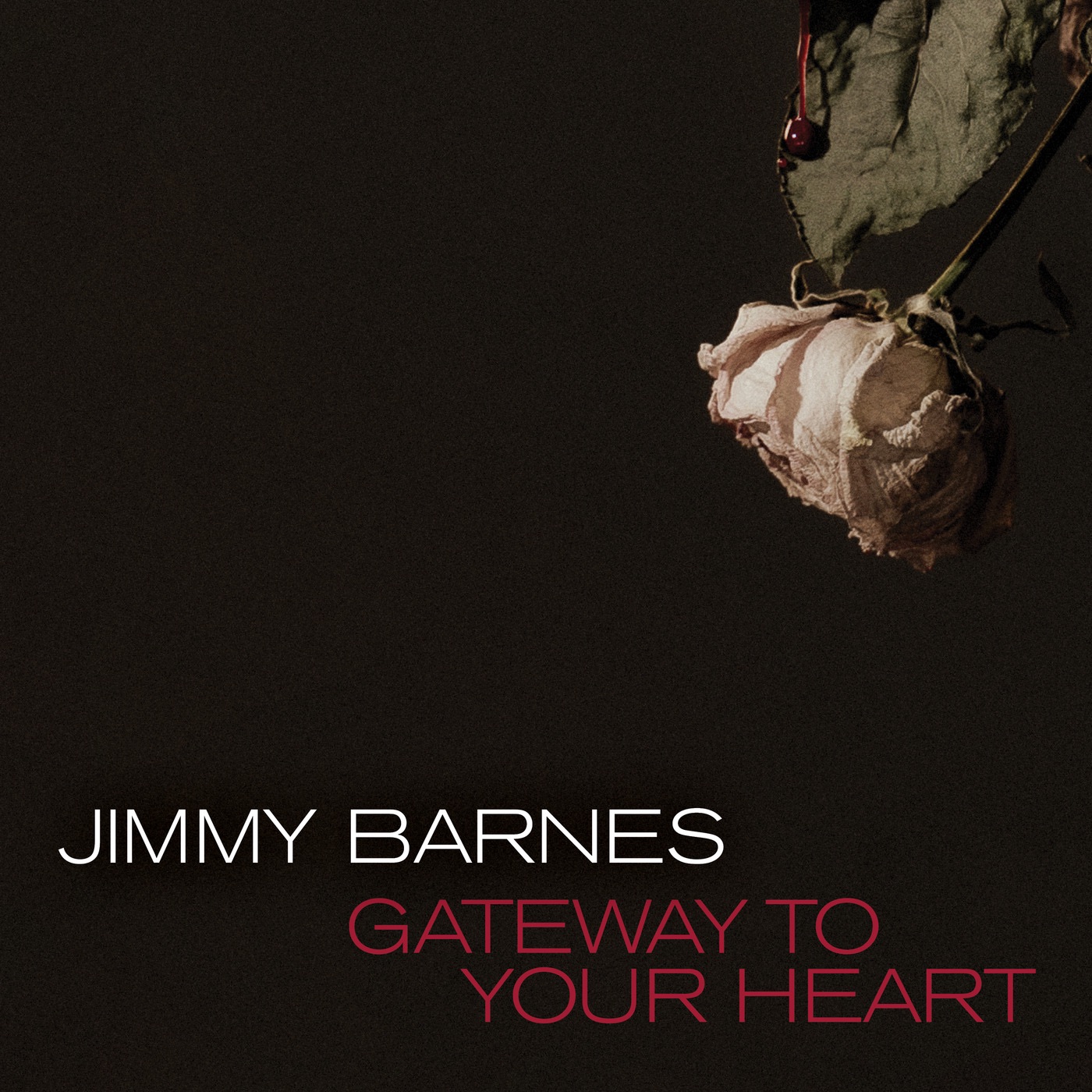 Gateway To Your Heart - Single album cover