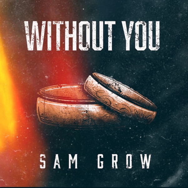 Without You - Single album cover