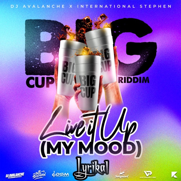 Live It Up (My Mood) - Single album cover