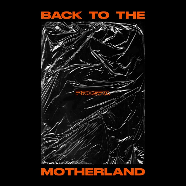 Back to the Motherland - Single album cover
