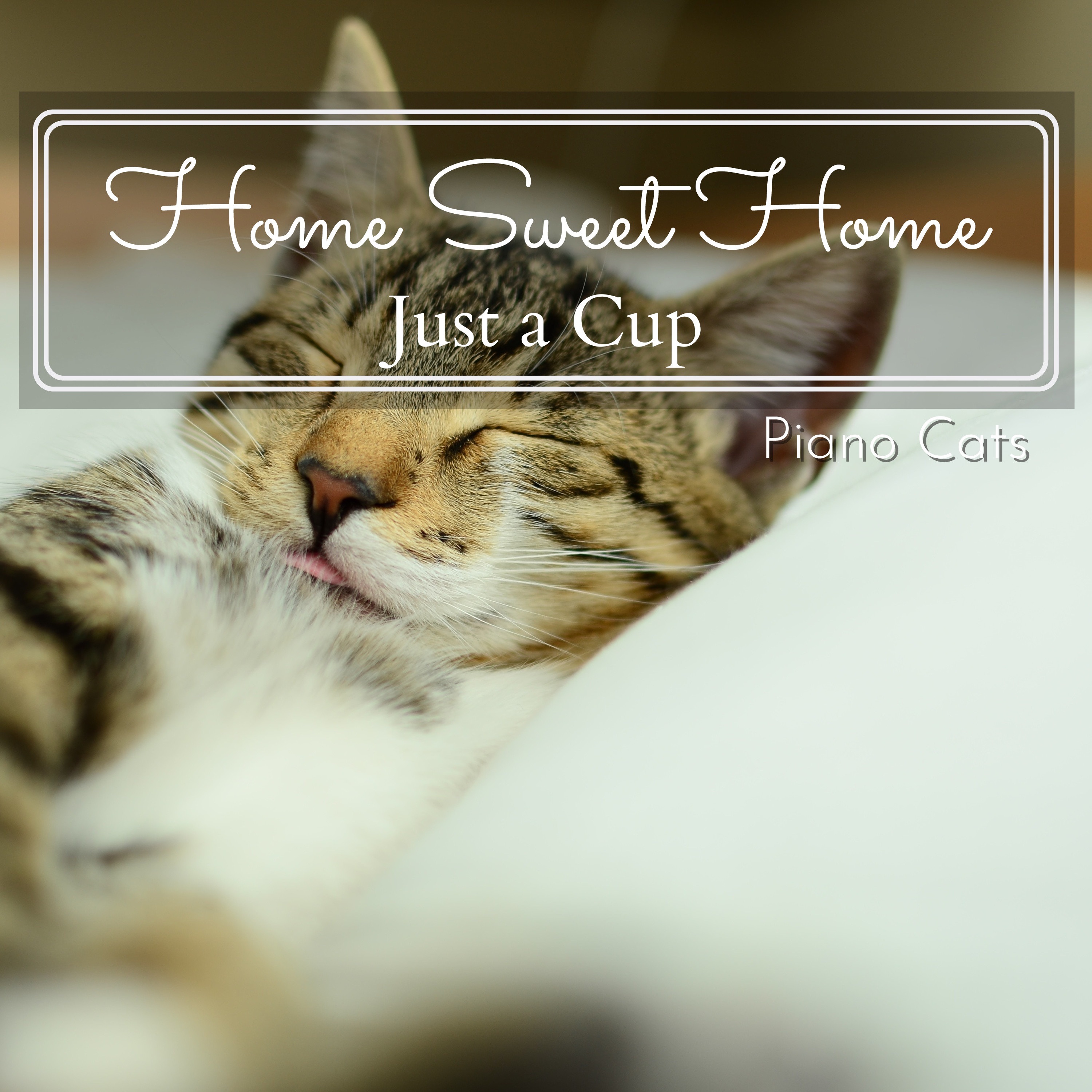 Home Sweet Home - Just a Cup album cover