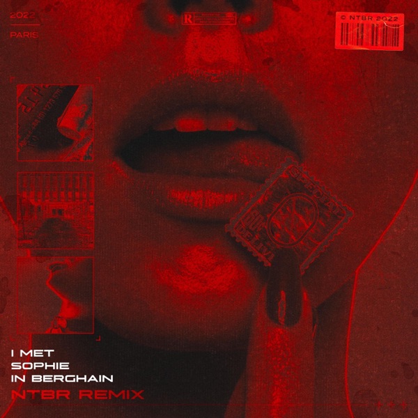 MëLL - I met SOPHIE in Berghain (NTBR Remix) - Single album cover
