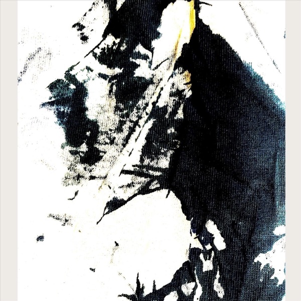 You Shot Past the Moon Scapegoat album cover