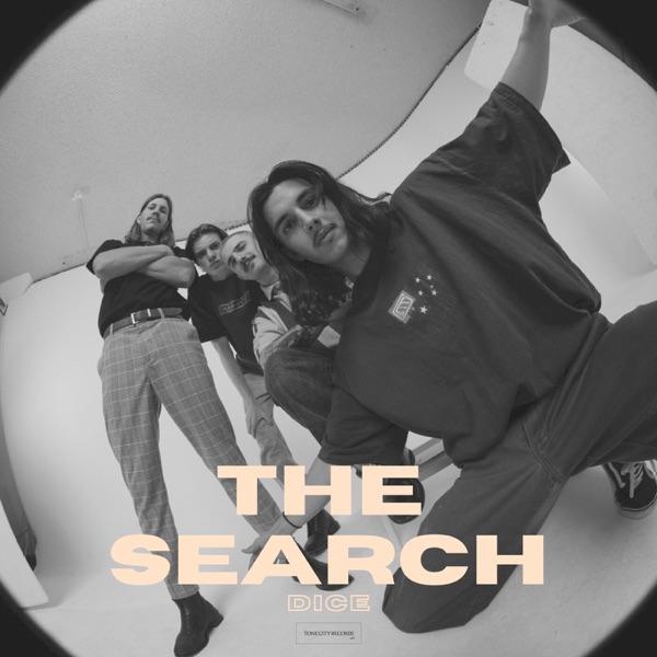 The Search - Single album cover