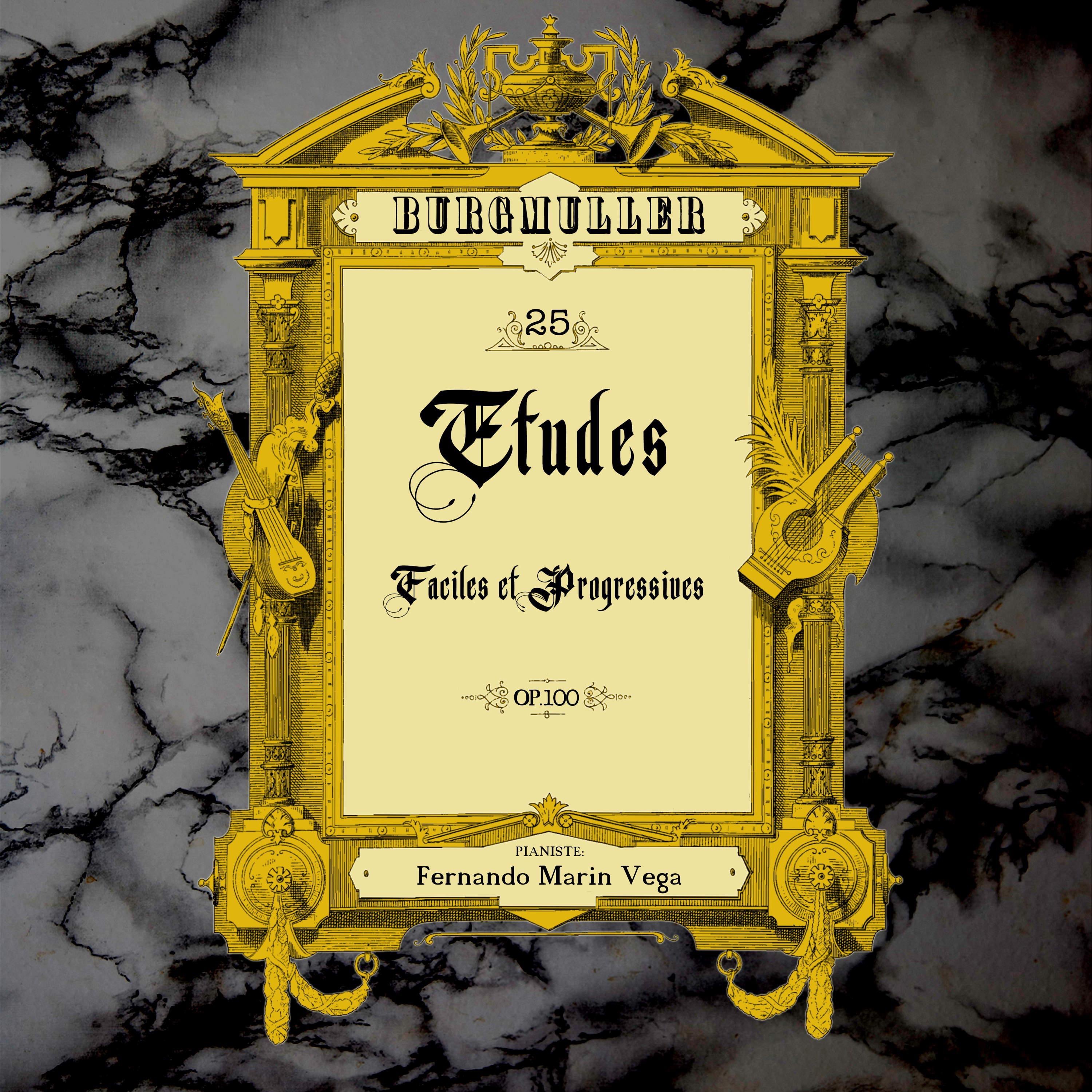 25 Études faciles et progressives, Op.100 album cover