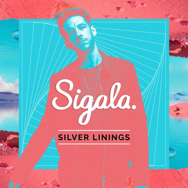 Silver Linings (DJ Mix) album cover