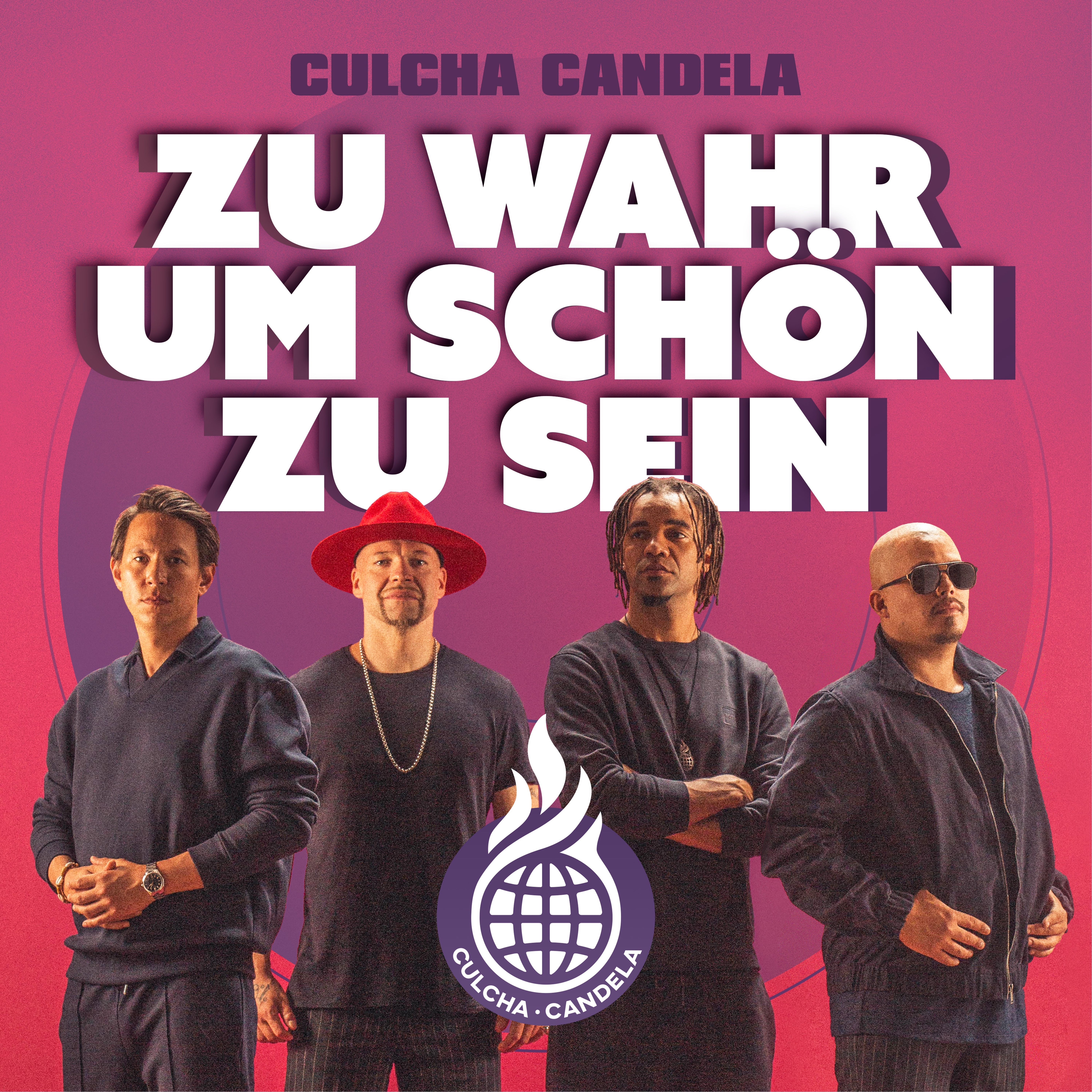 Zu wahr um schön zu sein album cover