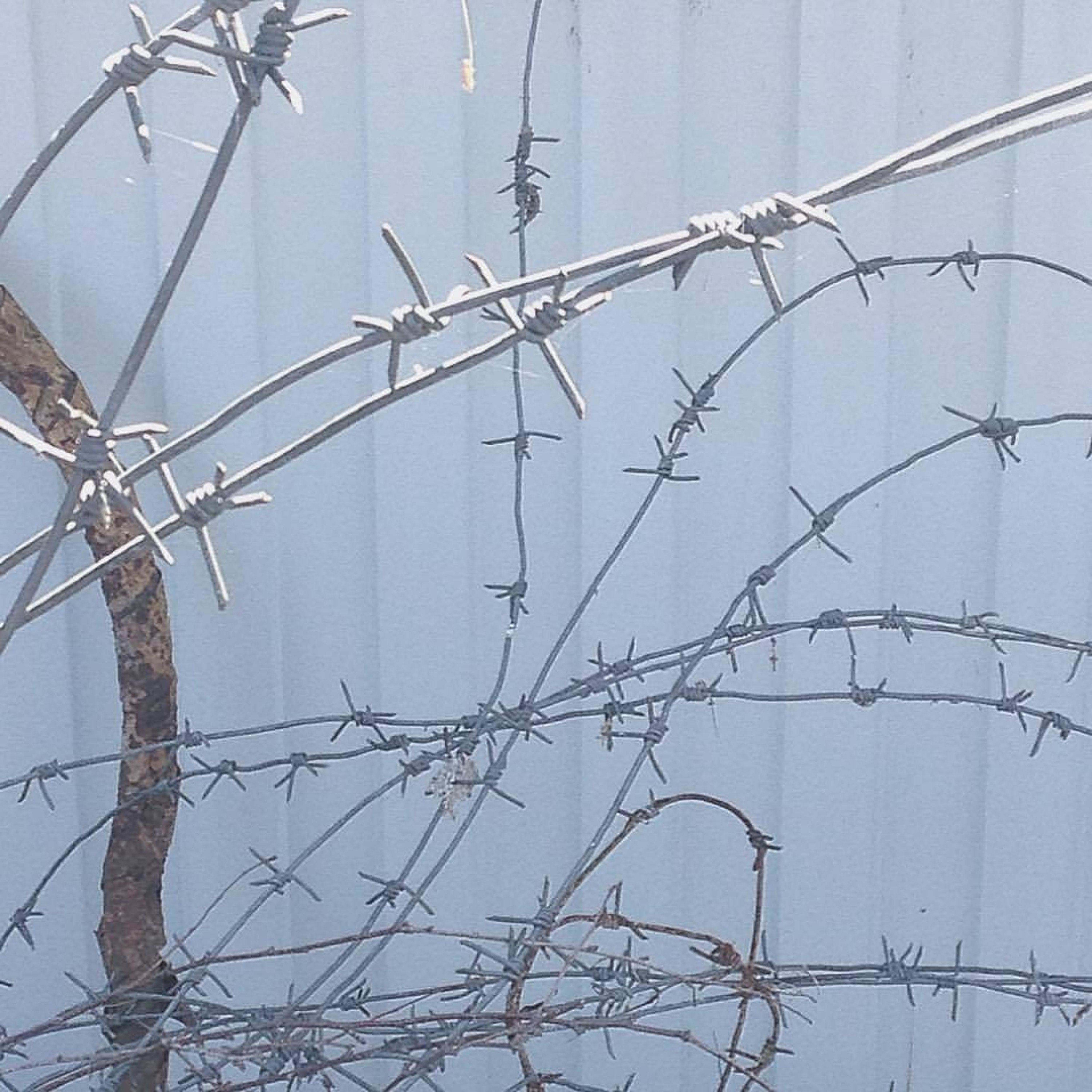 In The Garden - Single album cover