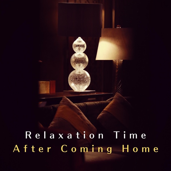 Relaxation Time After Coming Home album cover