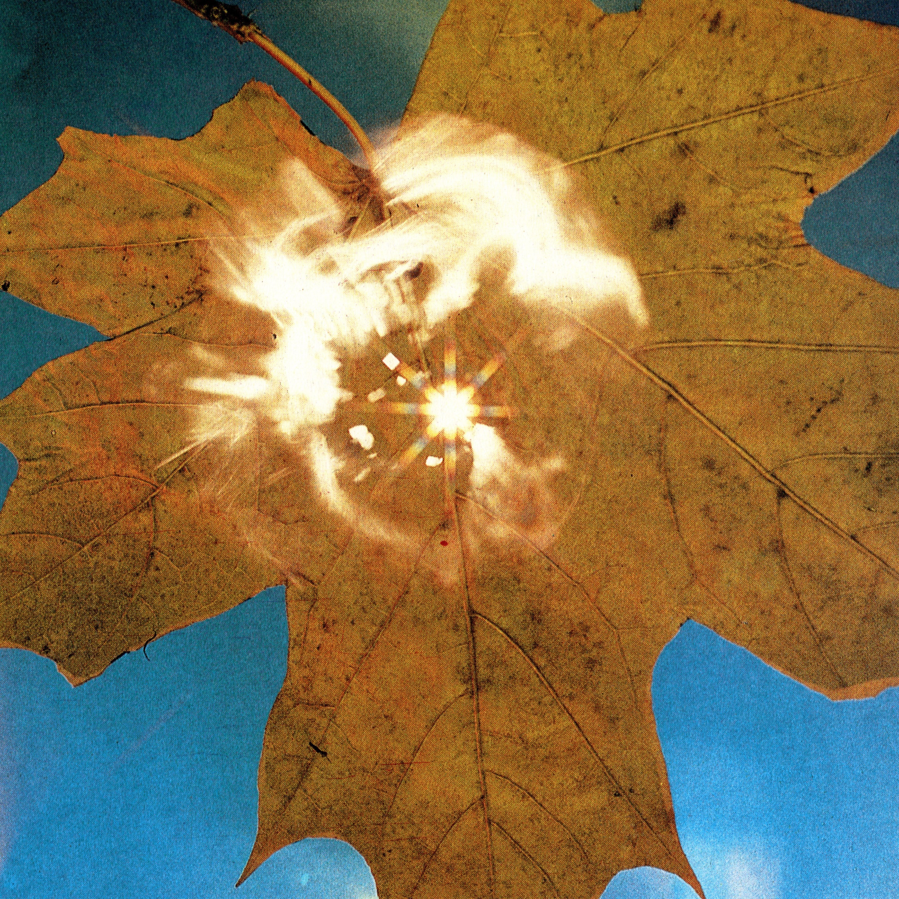 Force of the Wind album cover