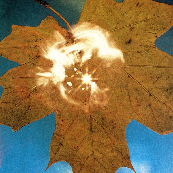 Force of the Wind album cover