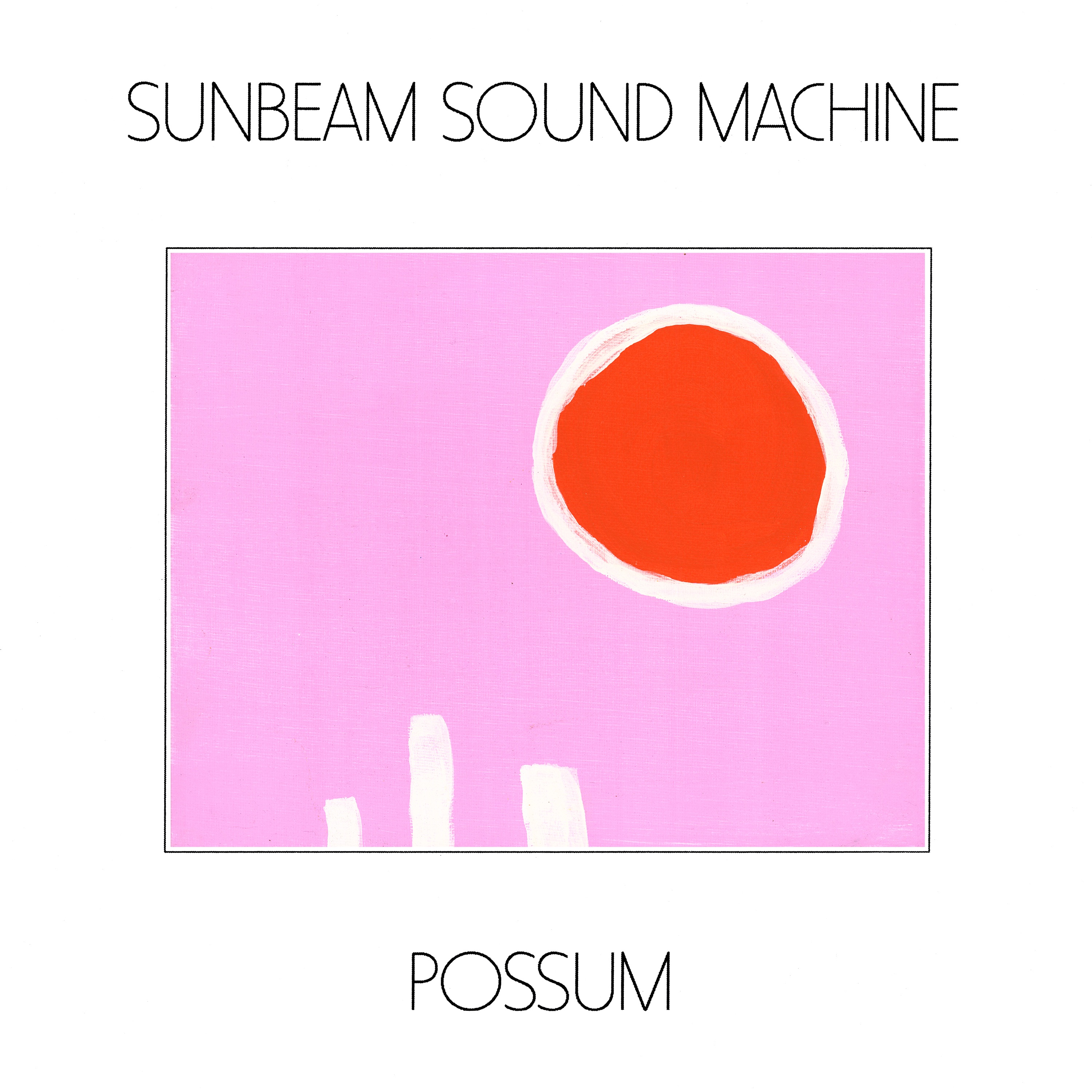 Possum album cover