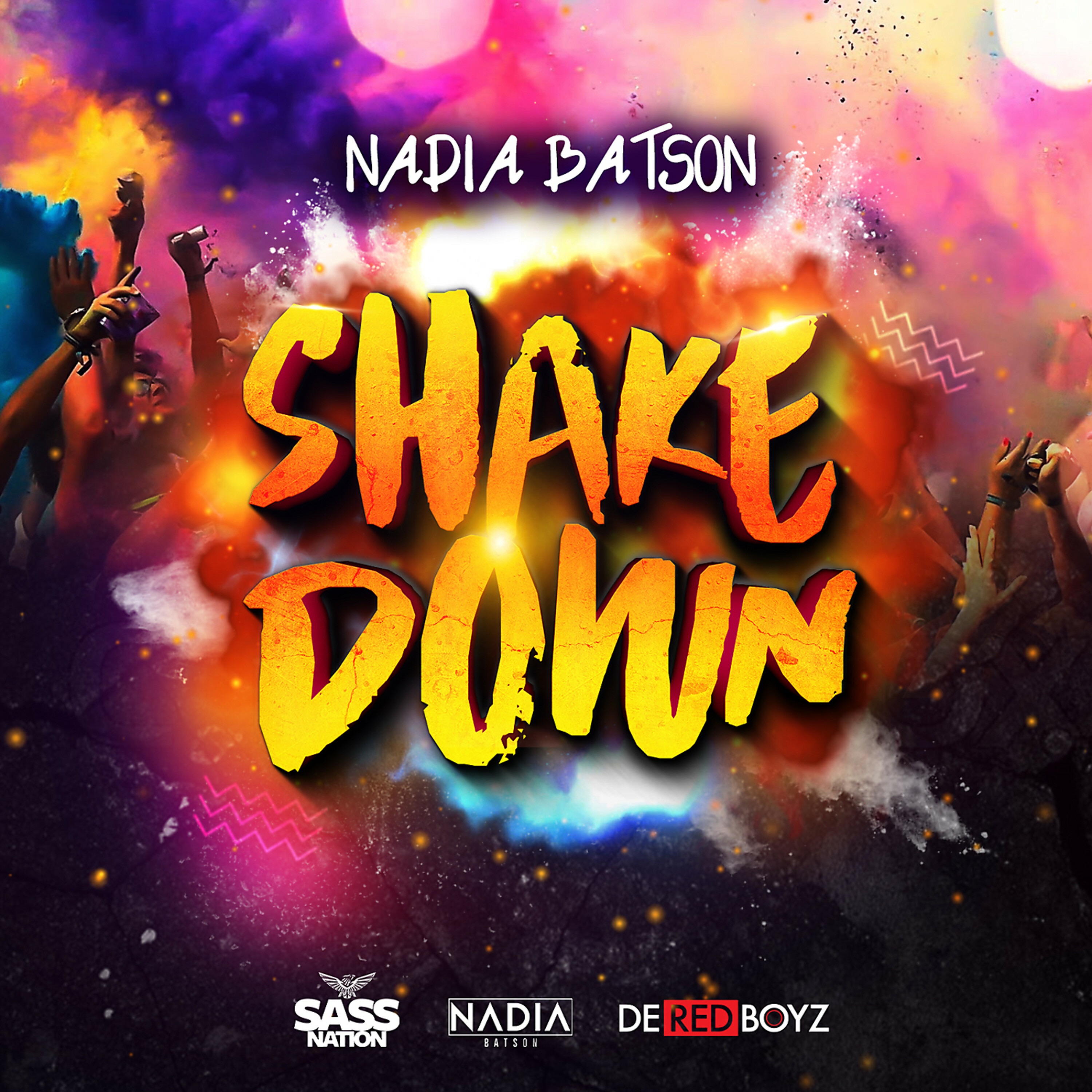 Shake Down - Single album cover