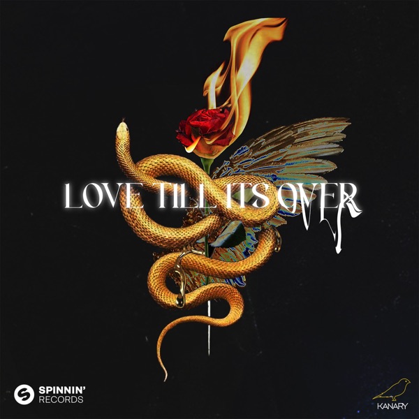 Love Till It's Over (feat. MKLA) - Single album cover