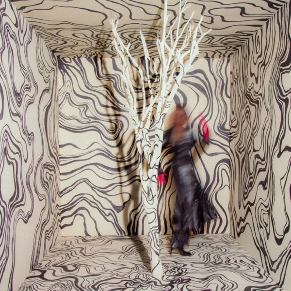 Revealer album cover