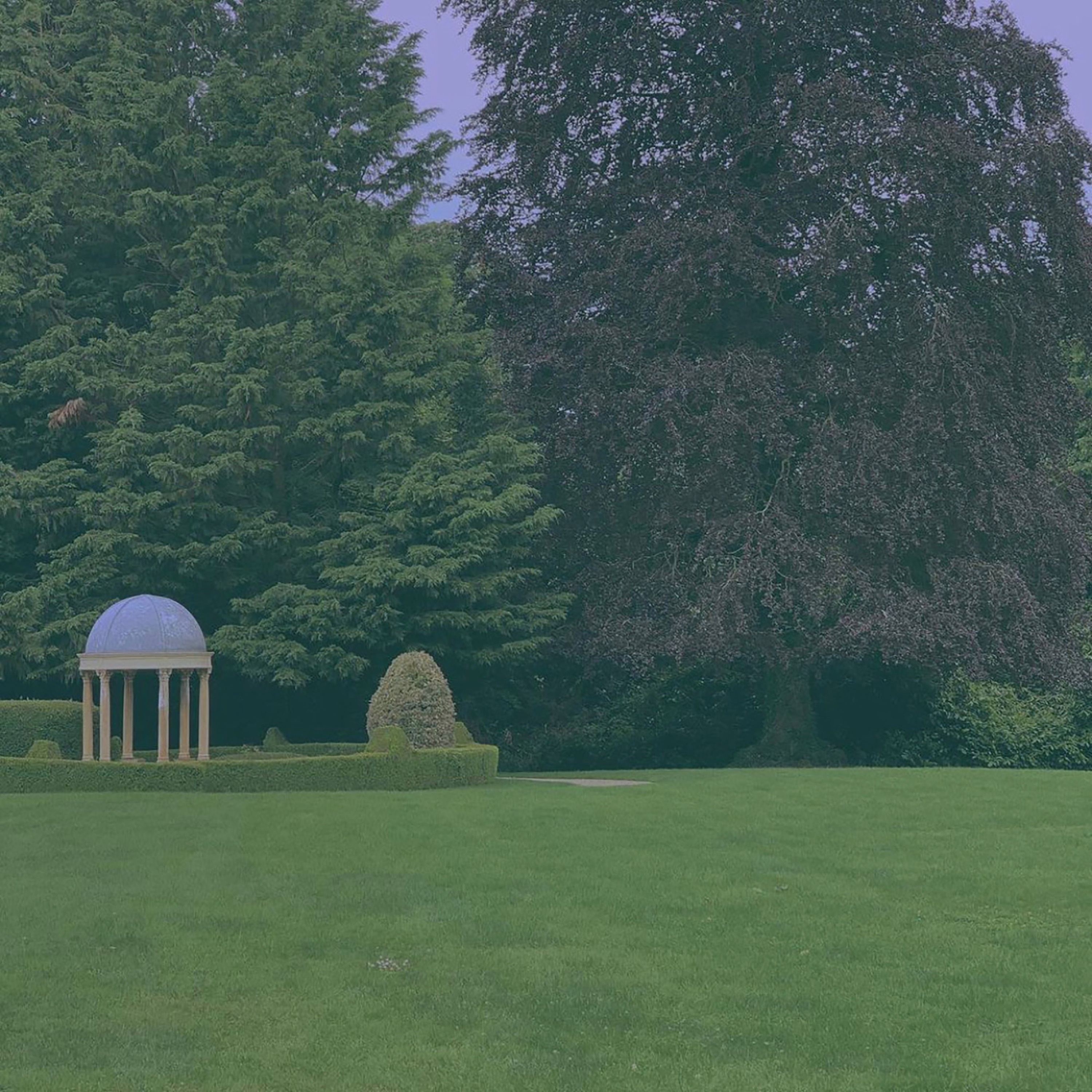 FOR THE HUMANS WHO TAKE LONG WALKS IN THE FOREST - EP album cover