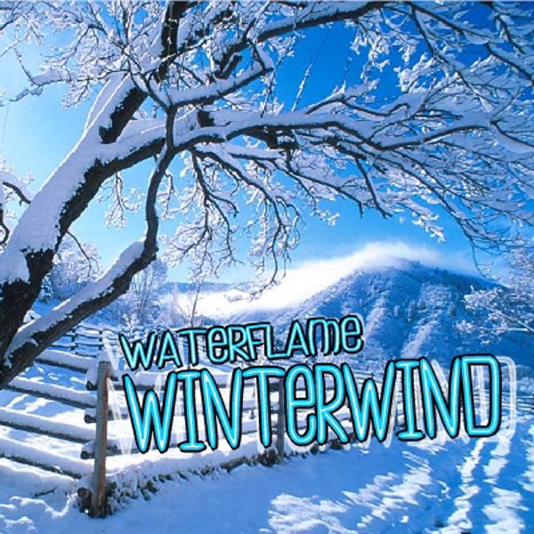 Winterwind - Single album cover