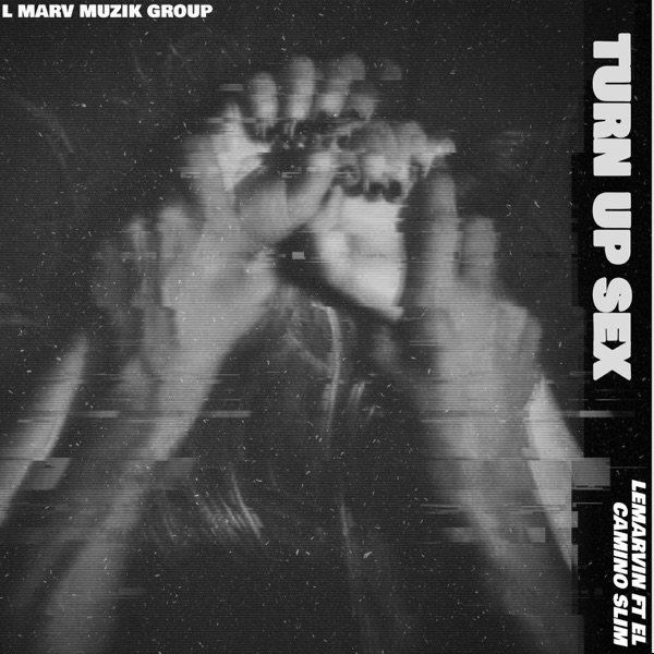 Turn up Sex - Single (feat. El Camino Slim) - Single album cover