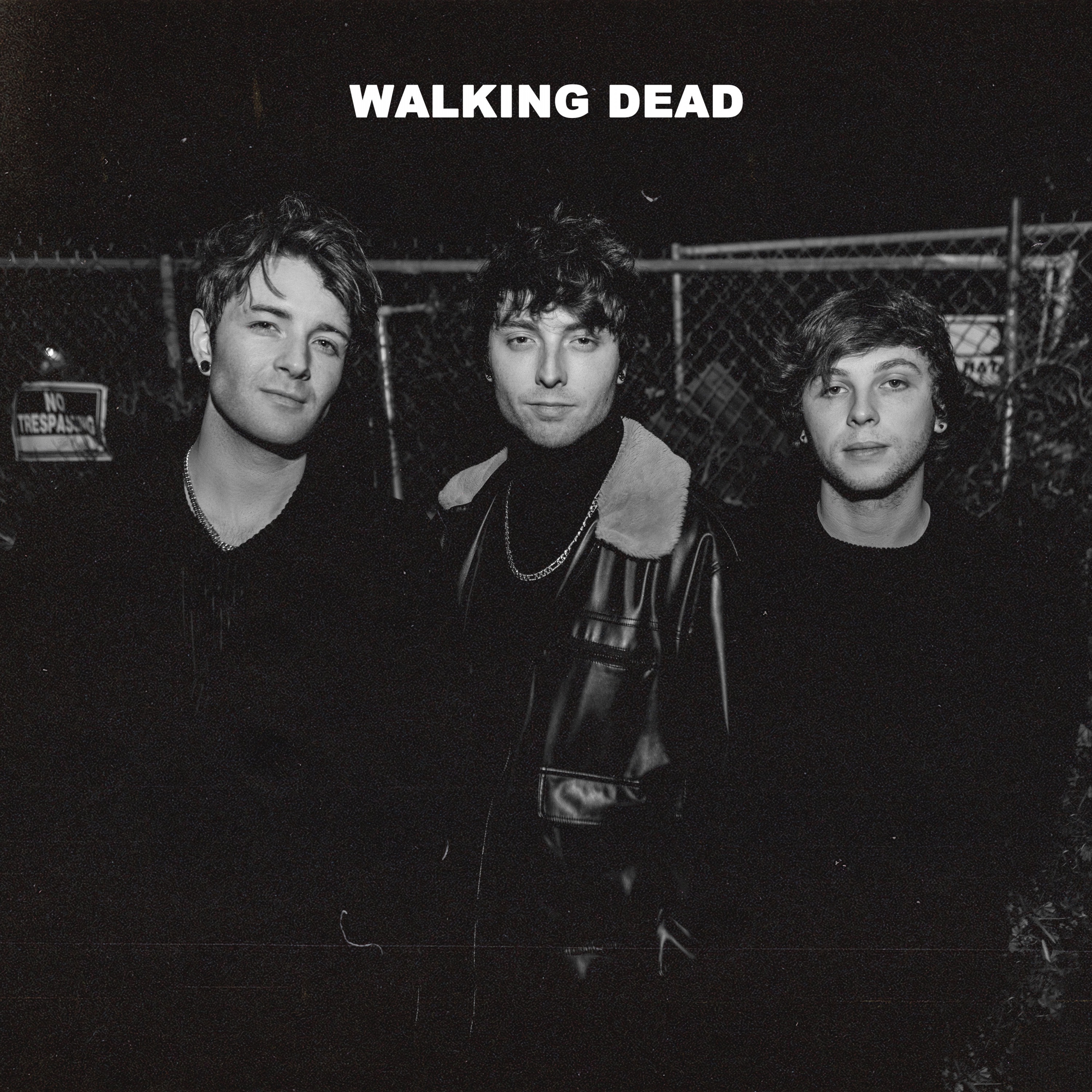 Walking Dead - Single album cover
