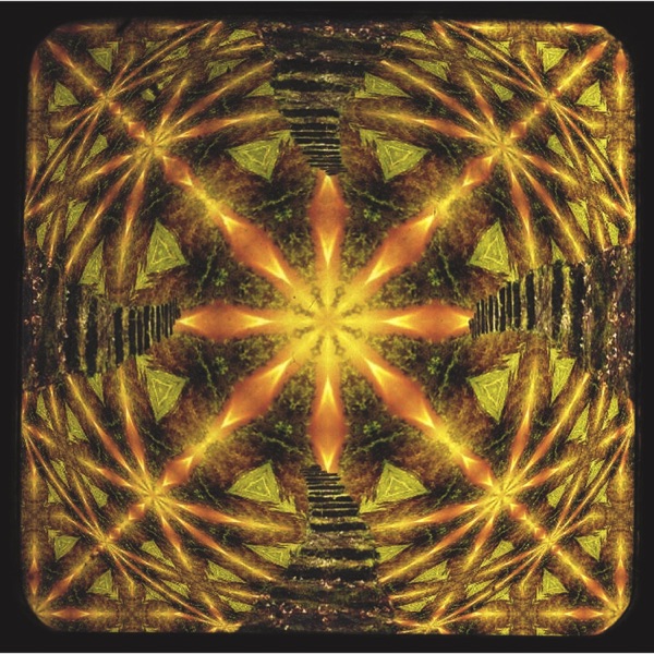 Love Is The Path (feat. Natalie) - Single album cover
