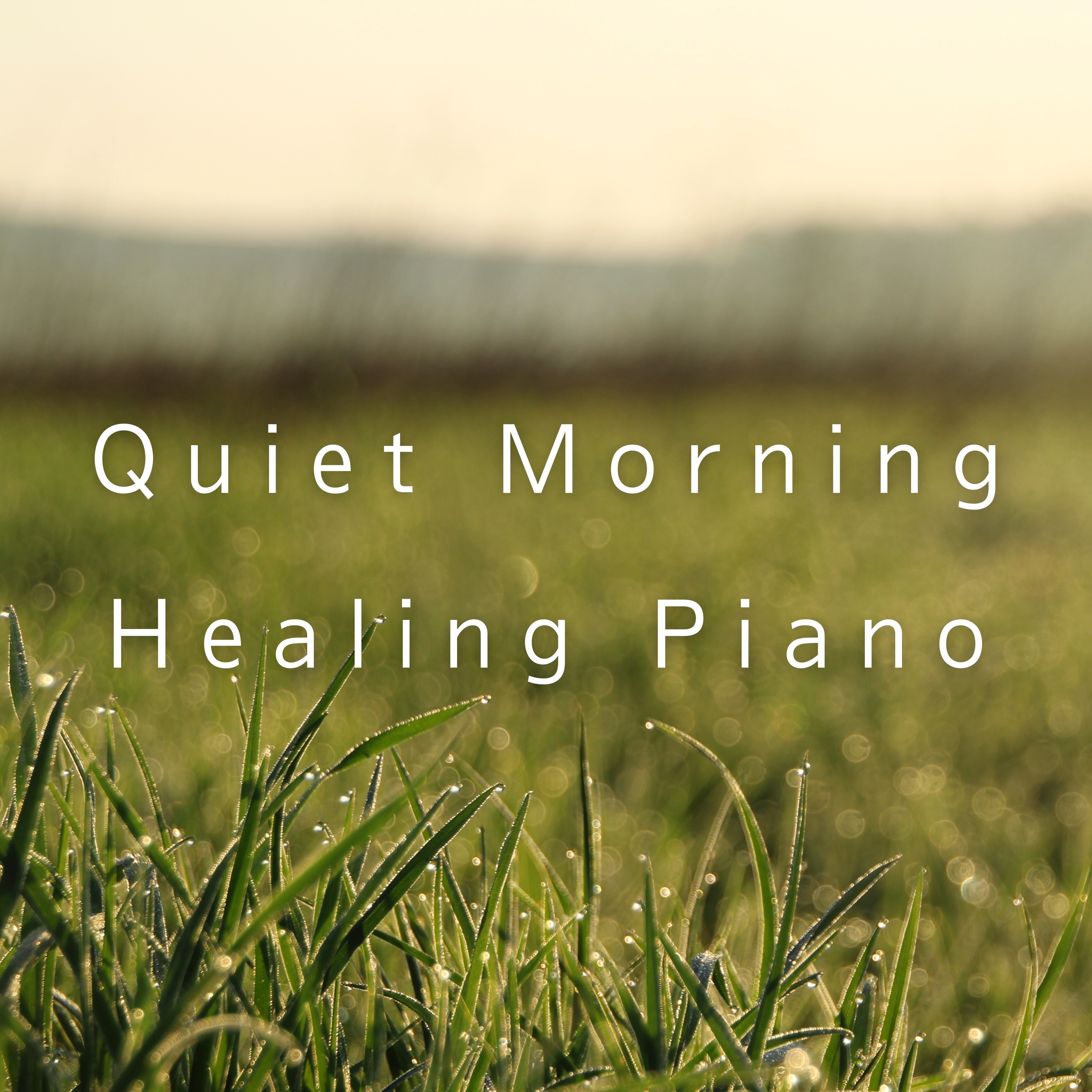 Quiet Morning Healing Piano album cover